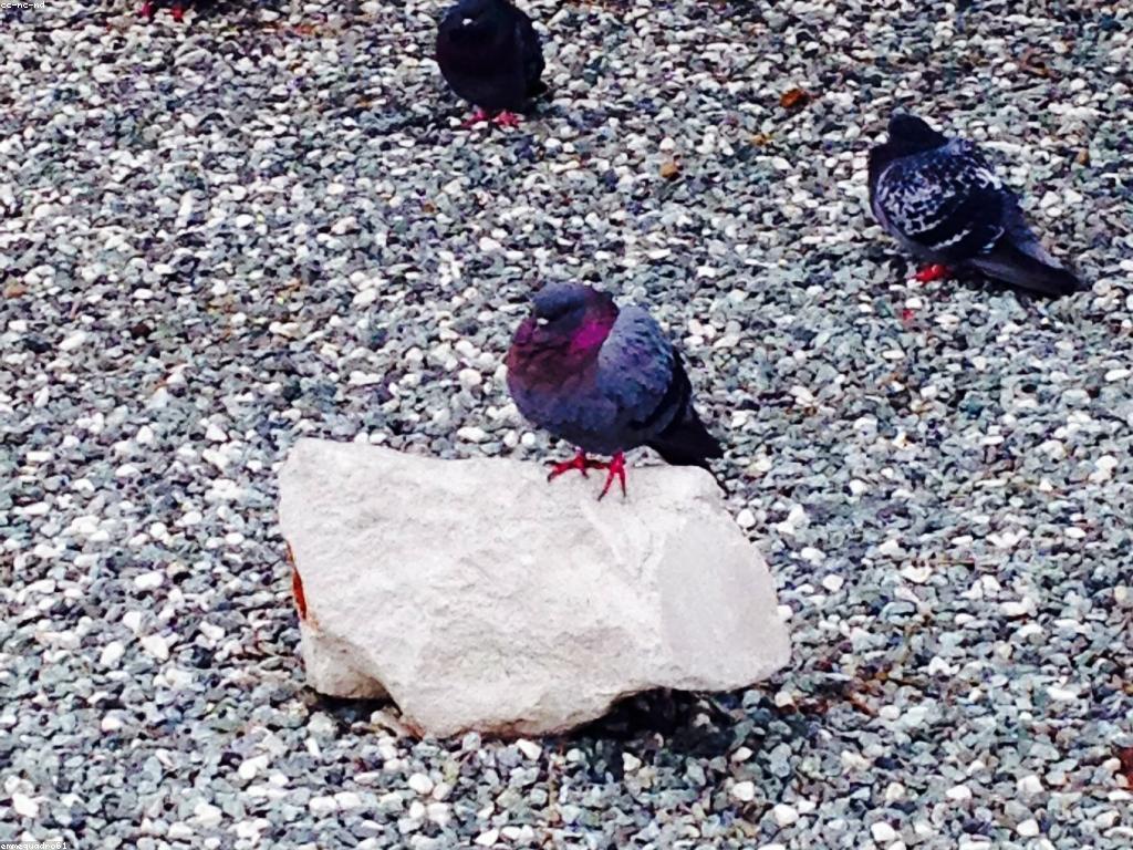 តួអង្គល្បីក្នុងប្រវត្តិសាស្ត្រកម្ពុជា