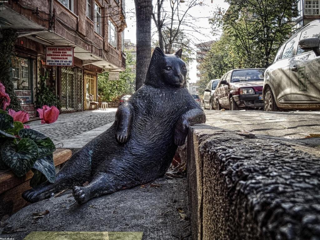 ការយល់ដឹងអំពីកម្មវិធីហោរា: វិធីសាស្ត្រនិងការសិក្សា