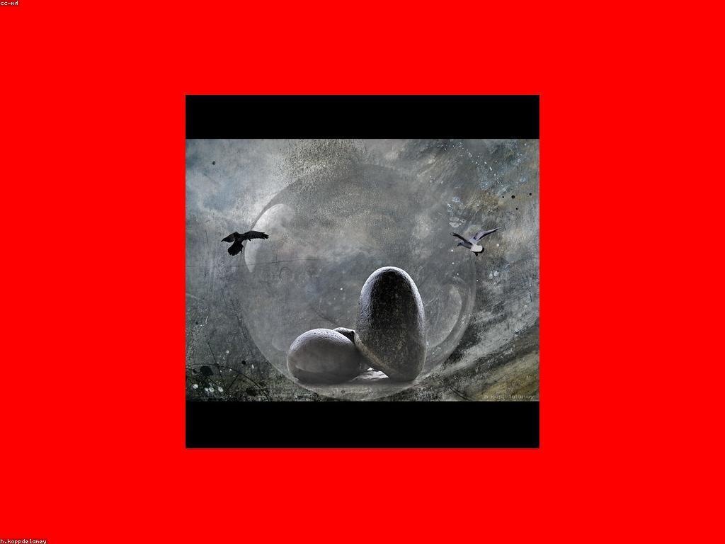 កម្មវិធីហោរា៖ ការប្រើប្រាស់និងអត្ថប្រយោជន៍