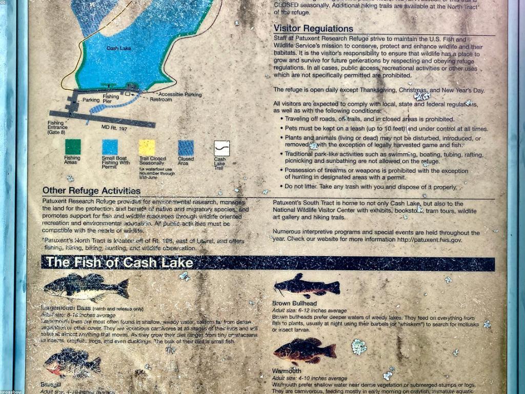 អត្ថប្រយោជន៍នៃឯកសារព័ត៌មានក្នុងសង្គមសព្វថ្ងៃ